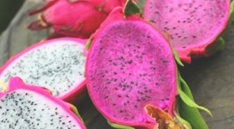 Dragon Fruit, The Tropical Superfruit